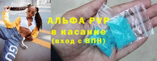 индика Богородицк